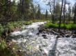 Urho Kekkonen National Park